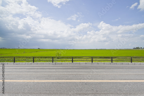Rice field.