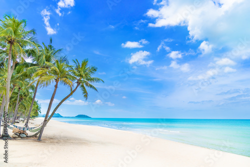 Beautiful tropical beach with coconut palm tree in blue sky background.