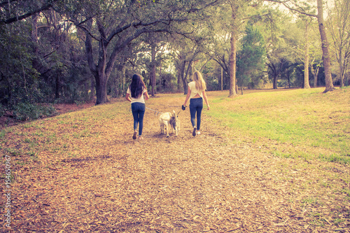 Two women walking their dogs, Saint Petersburg, Florida, America, USA