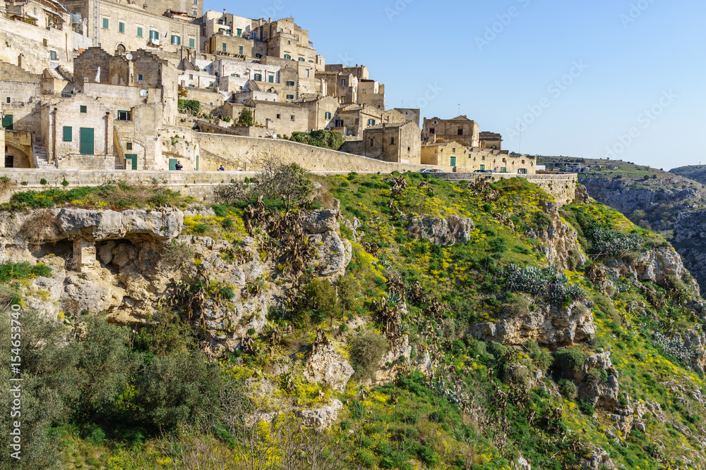 The ancient ghost town of Matera (Sassi di Matera) in beautiful yellow flower in daylight, southern Italy