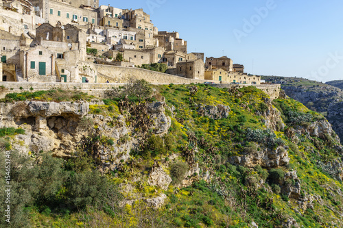 The ancient ghost town of Matera  Sassi di Matera  in beautiful yellow flower in daylight  southern Italy