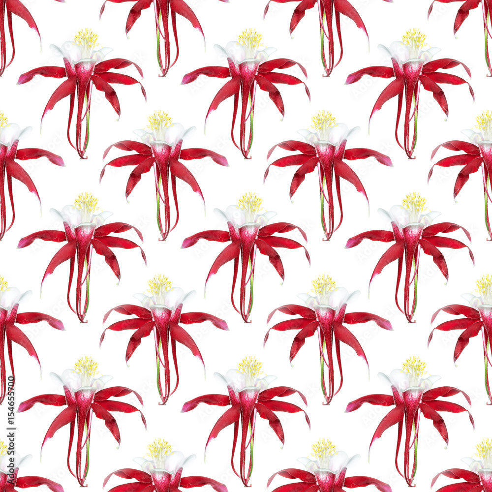 floral background