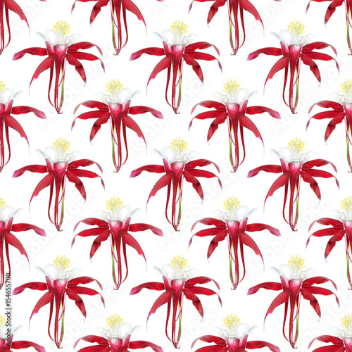 floral background