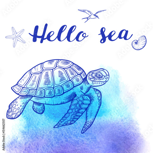 Sea turtle on a blue background