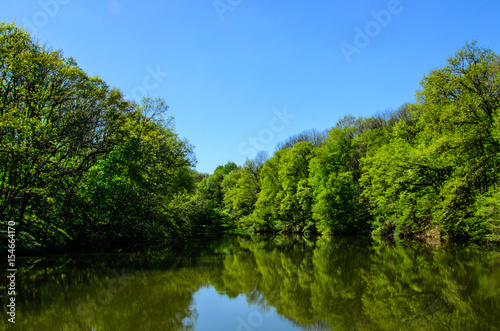 Lake in the forest