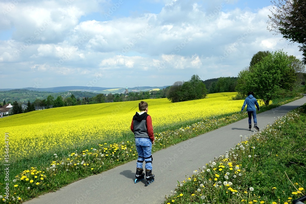 Fototapeta premium der weg ist das ziel