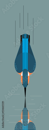 Kingfisher dives for prey