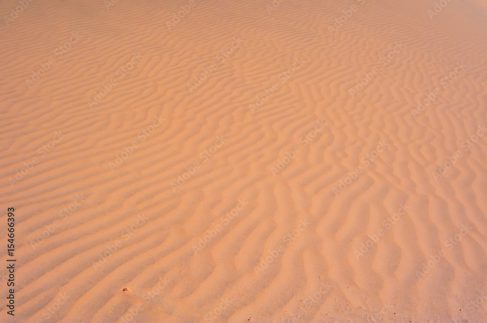 The texture of the sand. Sandy background The texture of the sand. Sandy background