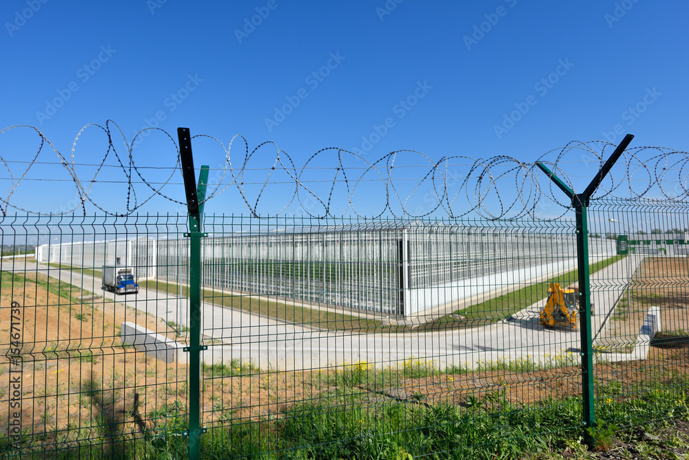 Large greenhouse for growing cucumbers in barbed wire