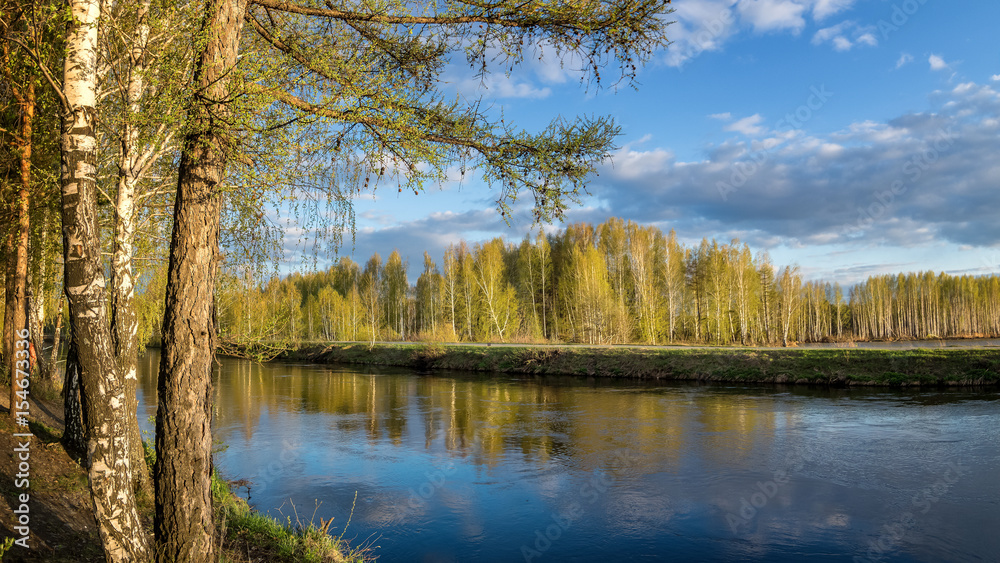 Obraz premium весенний пейзаж на Уральской реке с деревьями на берегу, Россия, май