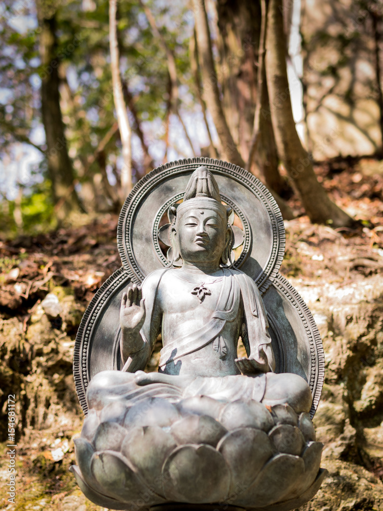 Obraz premium Buddha Statue