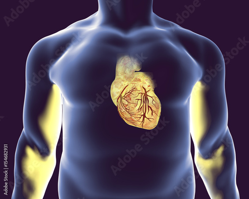 Human heart with heart vessles inside human body, 3D illustration photo