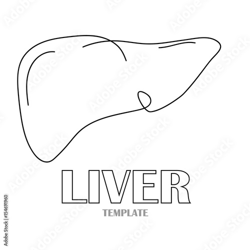 Linear stylized drawing of liver