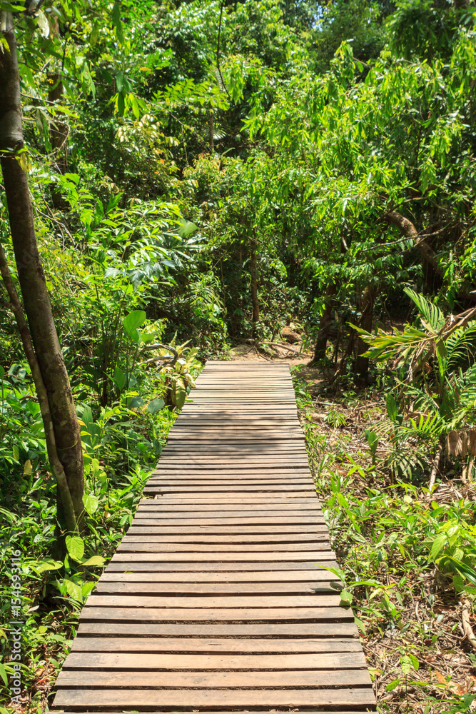 Obraz premium Wood bridge