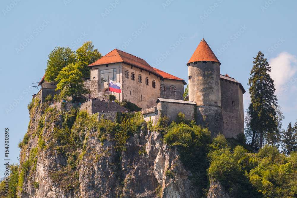 View of Bled Castle on the Bled Lake and Julian Alps, Slovenia