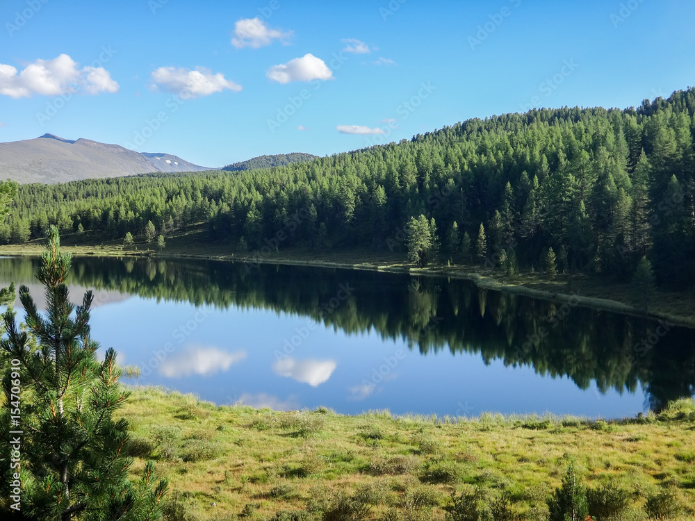 landscape of river in forest with mountains at horizon