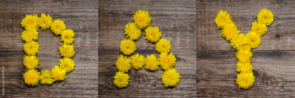 Naklejka premium The word DAY is made of yellow dandelions