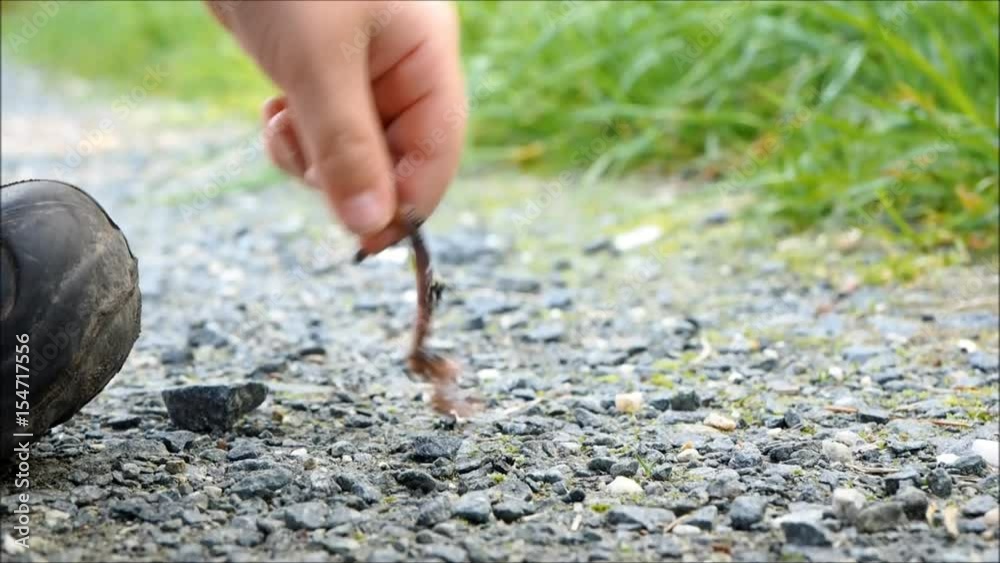 A child catching an earthworm by hand, on a gravel road, next to tall green grass, with black rubber boots A child catching an earthworm by hand, on a gravel road, next to tall green grass, with black rubber boots