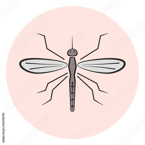 Outline mosquito vector icon, colored gray gnat icon
