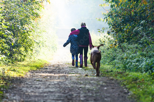 two young girls walking away in to the sunny forest with dog chasing them