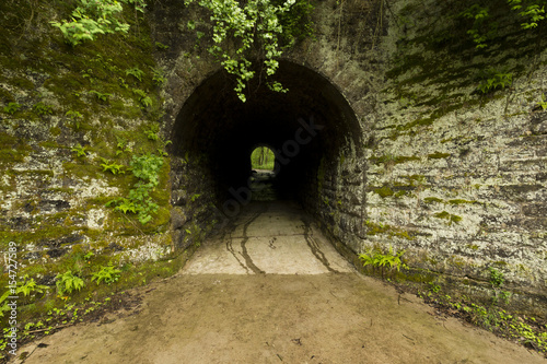 Tunnel To Woods / An old tunnel leading to woods on the other side.