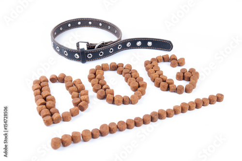 Obraz na plátně Laid out dog word on white background