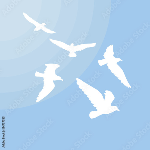 White Gulls Silhouettes Concept