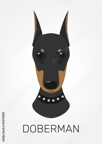 doberman dog head card isolated on white background. Template for your design
