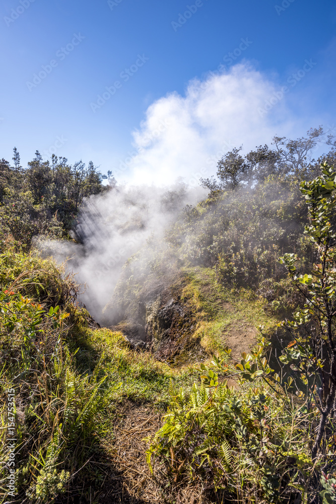 Volcanic Steam Vent in Hawaii