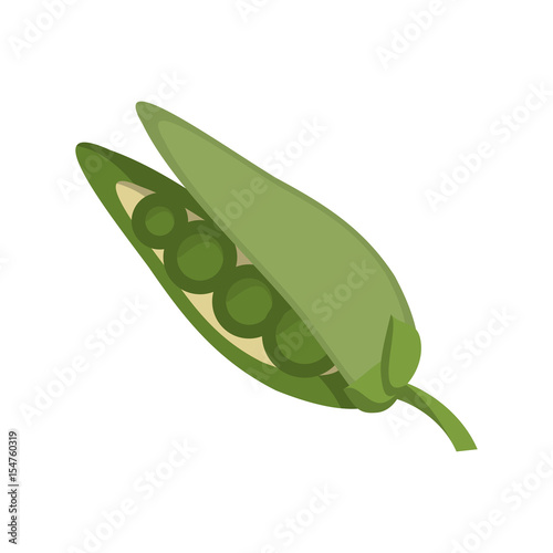 peas vegetable natural vector icon illustration graphic design