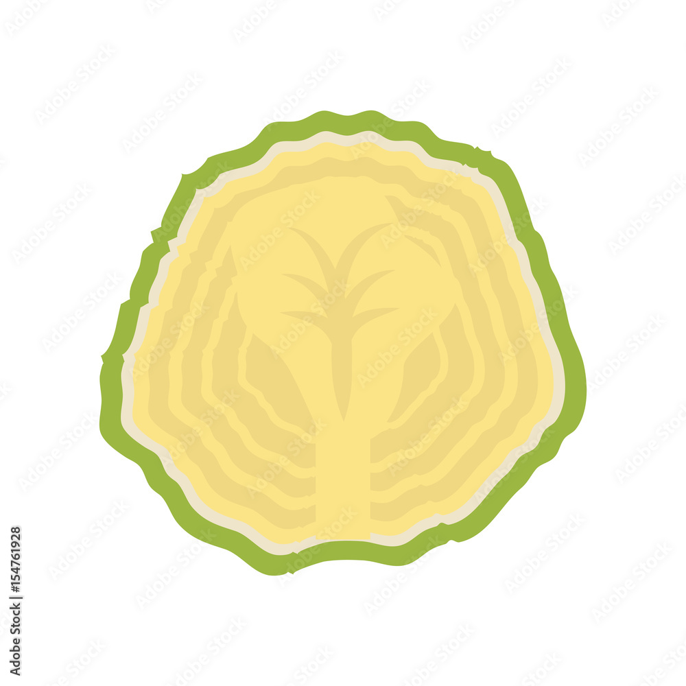 cauliflower vegetable natural vector icon illustration graphic design cauliflower vegetable natural vector icon illustration graphic design