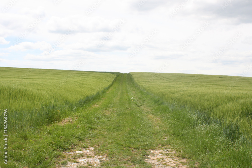 Feldweg im Hunsrück Feldweg im Hunsrück