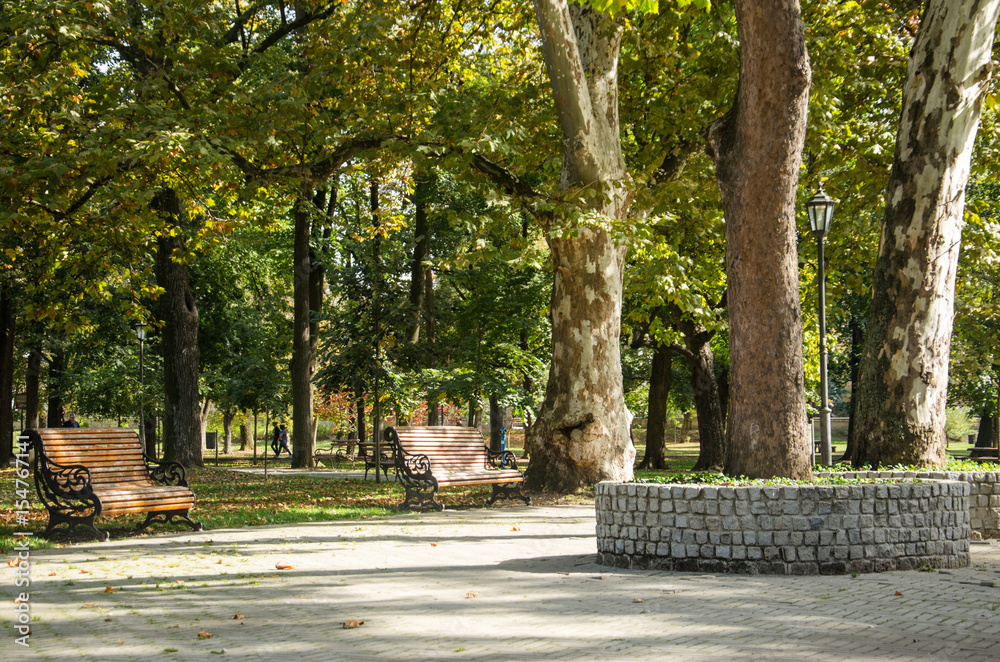 Bench in the park