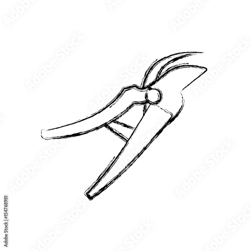 pruners tool gardening vector icon illustration graphic design