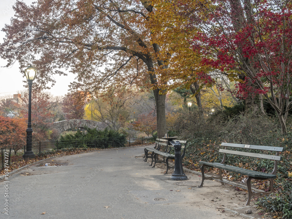 Central Park, New York City autumn