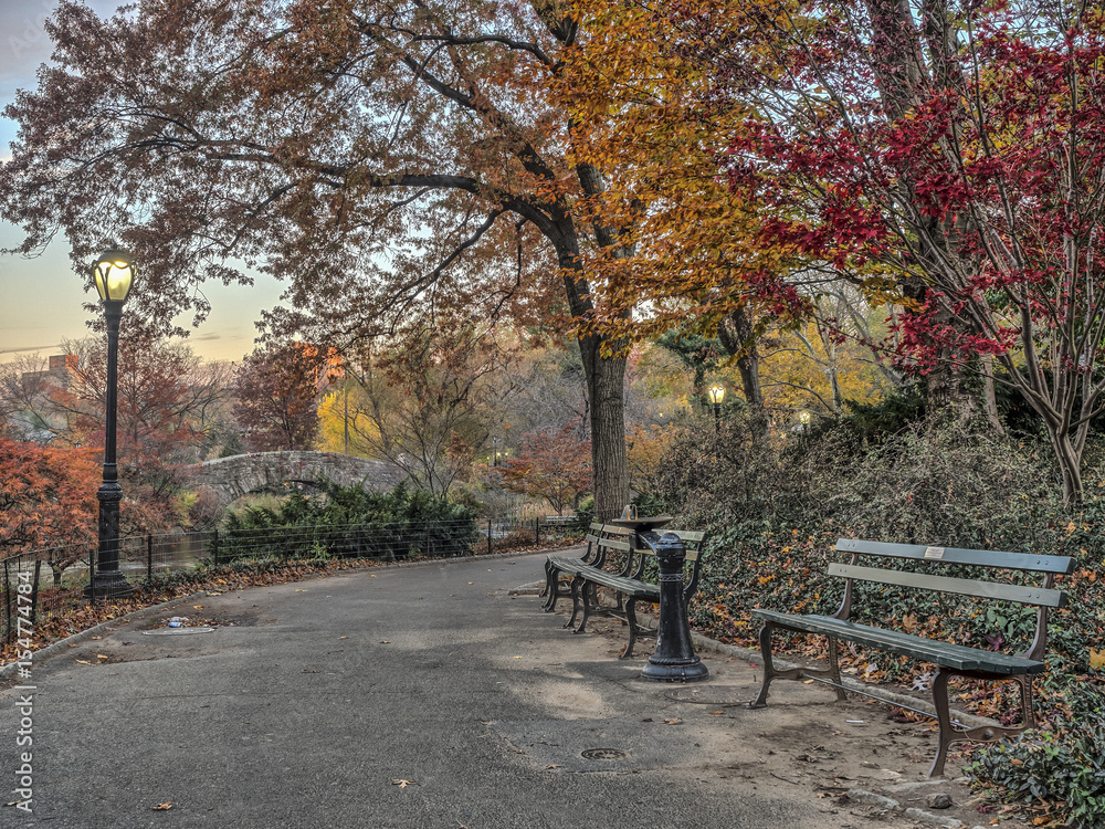 Central Park, New York City autumn