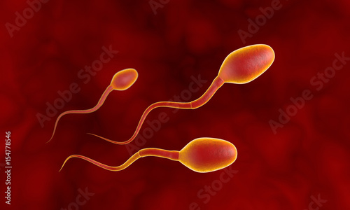 Three competing spermatozoa. Movement of spermatozoa through the fallopian tubes. Sperm, fertilization. 3D illustration.