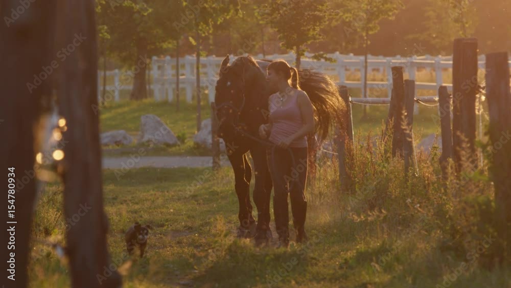 SLOW MOTION, DOF: Girl leading stunning horse from field to the stable on golden light evening. Small dog following their way between the fences. Female farmer working on farmhouse at gorgeous sunset