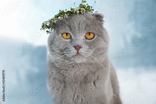 Fototapeta Naklejka Na Ścianę i Meble -  Cute cat with wreath on light background