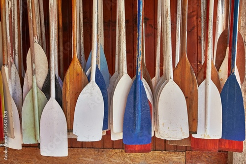 Fotografie Paddles In Storage