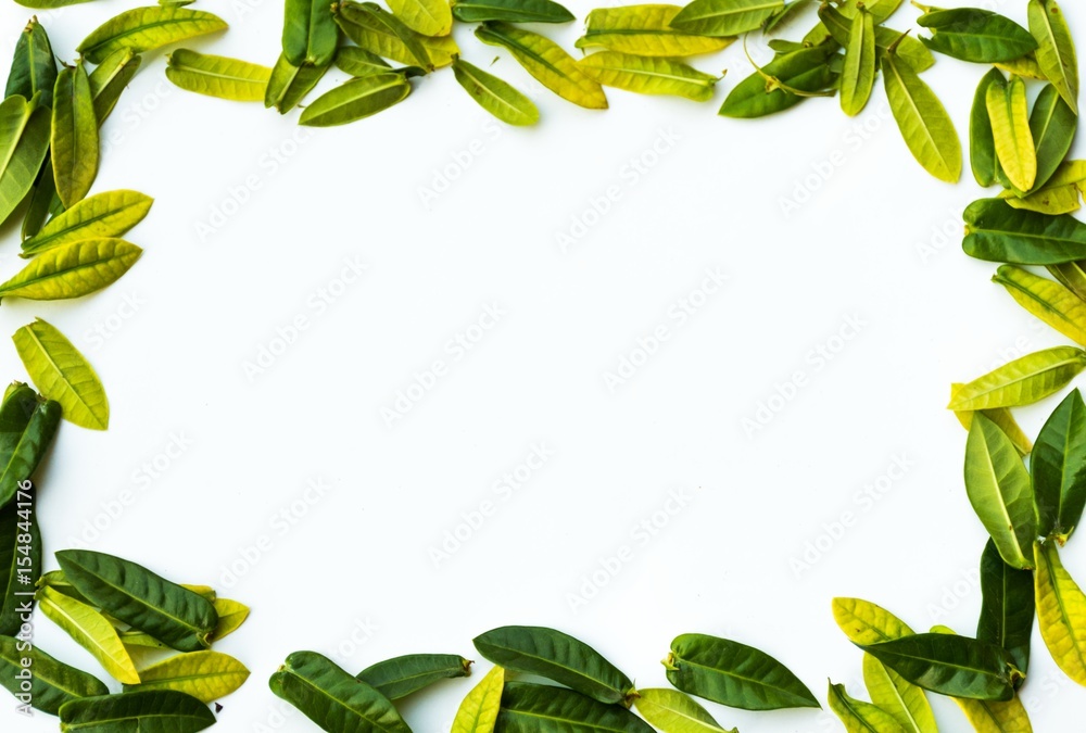 Leaf frame Leaf frame