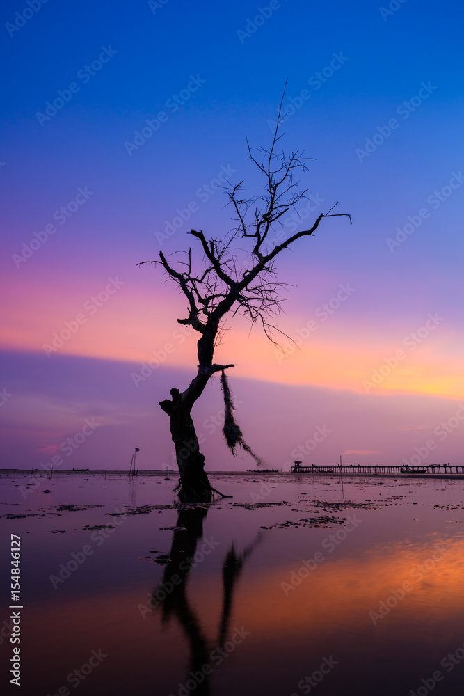 Dead Tree on the Sea with Silhouette Sunset at Wat Sichan Pradit Temple, Samut Prakan Province, Thailand