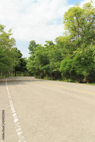 Wallpaper Mural curve empty road in the middle of the forest Torontodigital.ca