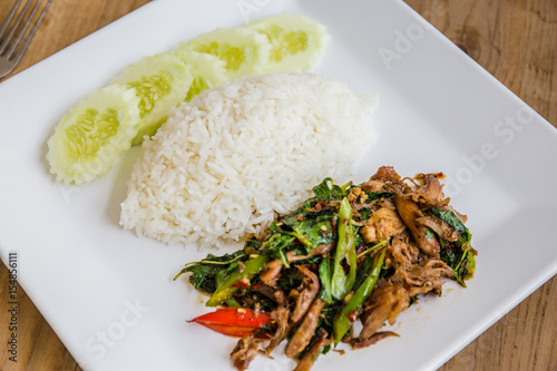 rice fried pork and basil 