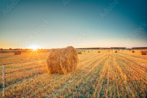 Rural Landscape Field Meadow With Hay Bales After Harvest In Sunny Evening At Sunset