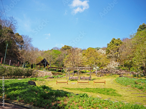 Green and colorful flower garden with blue sky in the sunny day at Nunobiki herb garden in Kobe, Japan. The relaxation park on the mountain. photo