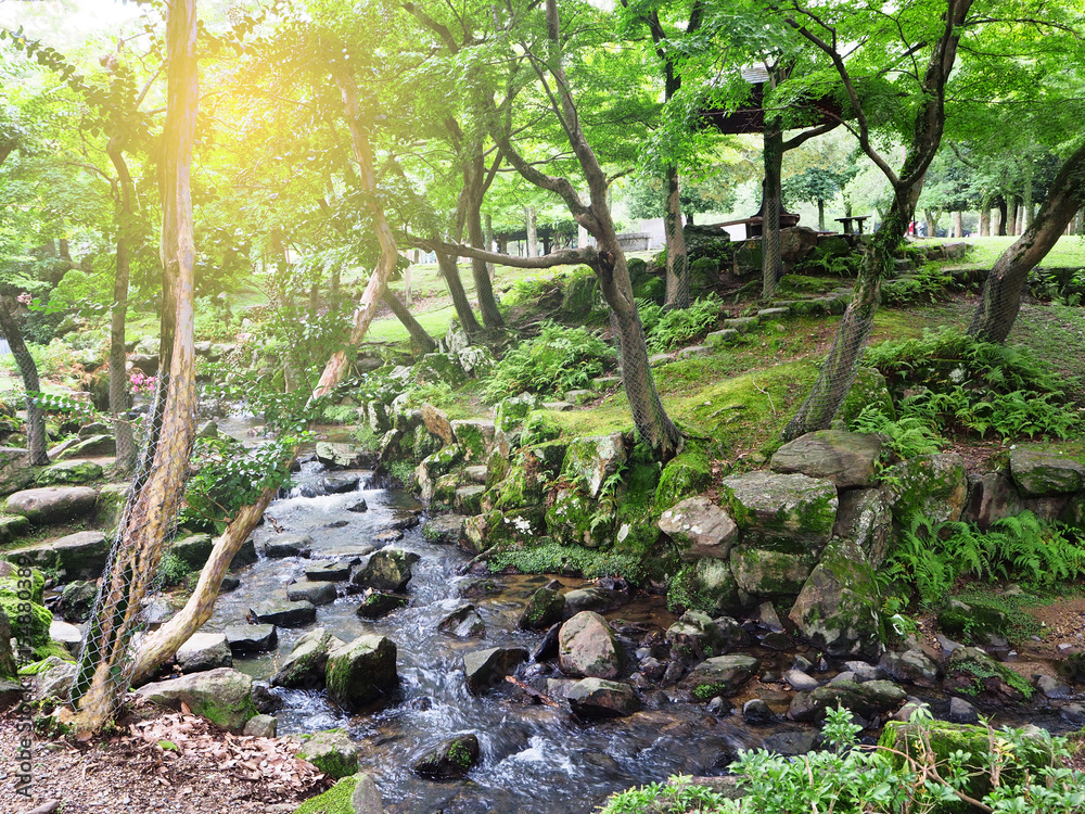 Green natural forest in Nara park with the small water fall Green natural forest in Nara park with the small water fall