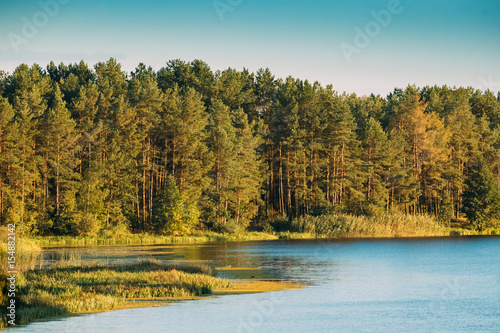 Landscape With Forest On Coast Of Lake, Pond Or River At Summer 