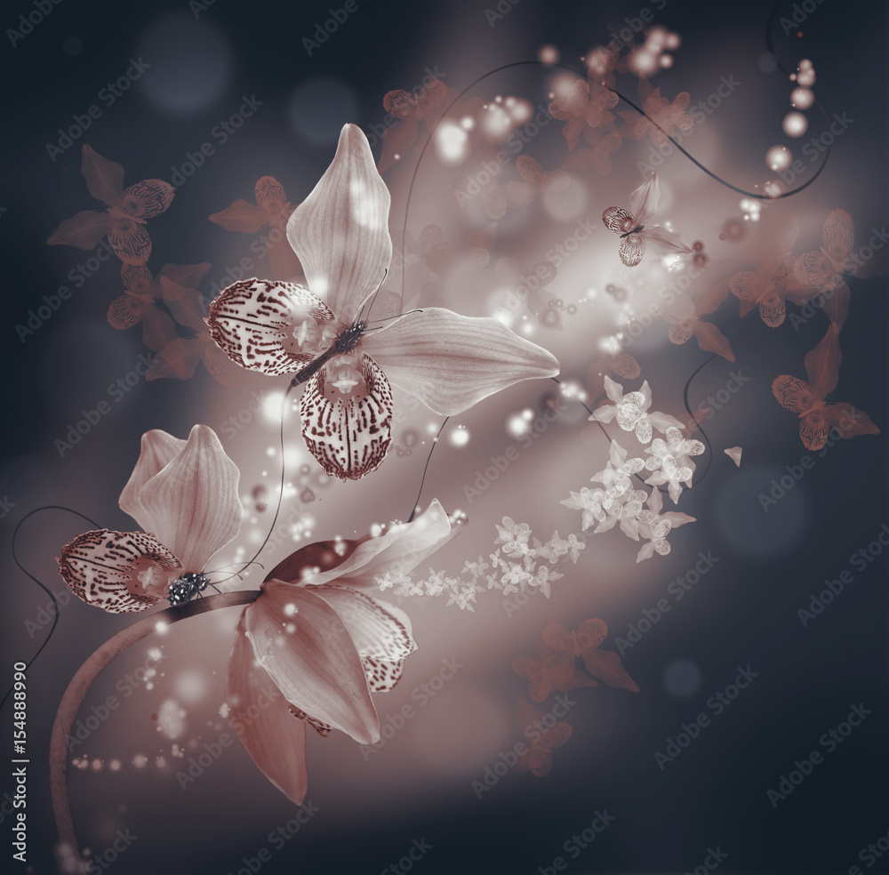 Fototapeta Niesamowite motyle z płatków orchidei, kwiatowy tło. Kwiaty i owady.