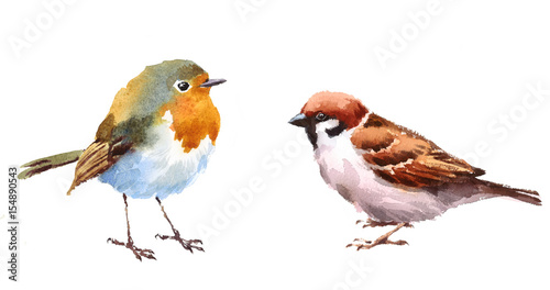 Robin and Sparrow Two Birds Watercolor Hand Painted Illustration Set isolated on white background